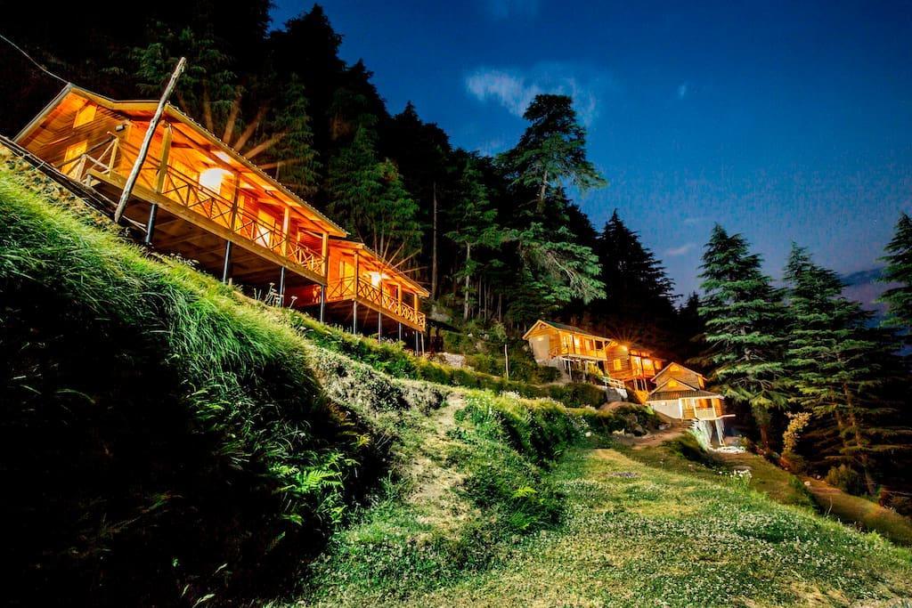 Mid Conifer Cottage Dalhousie Extérieur photo